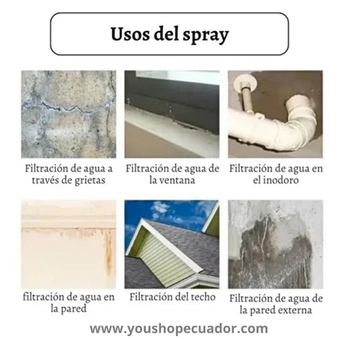 Spray Sellador Tapagoteras